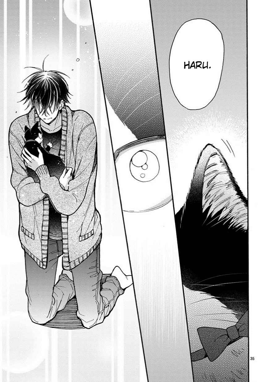 Page 12 Chapter 10.5 My Roommate Is a Cat