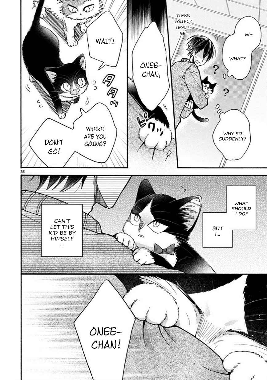 Page 13 Chapter 10.5 My Roommate Is a Cat