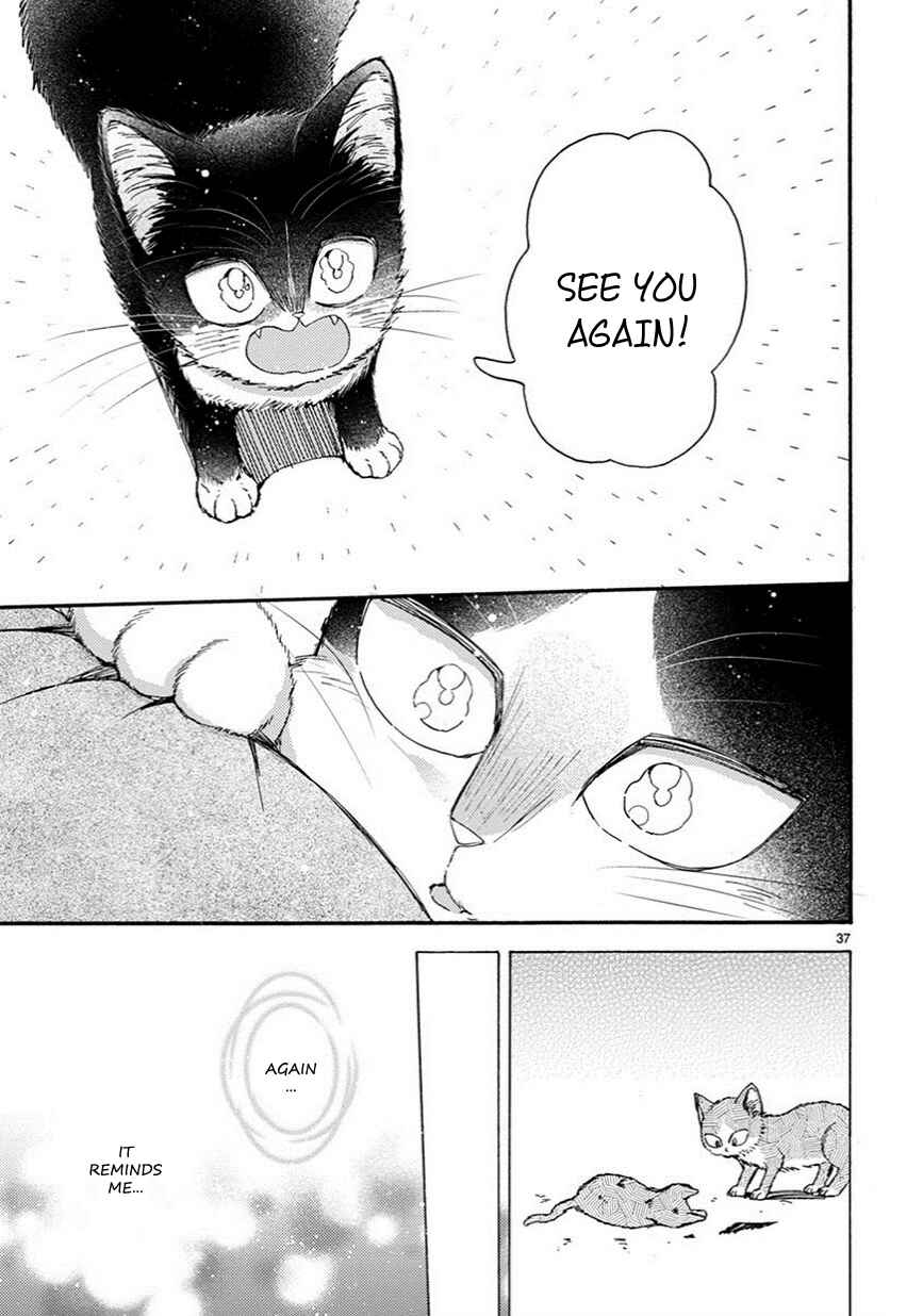 Page 14 Chapter 10.5 My Roommate Is a Cat