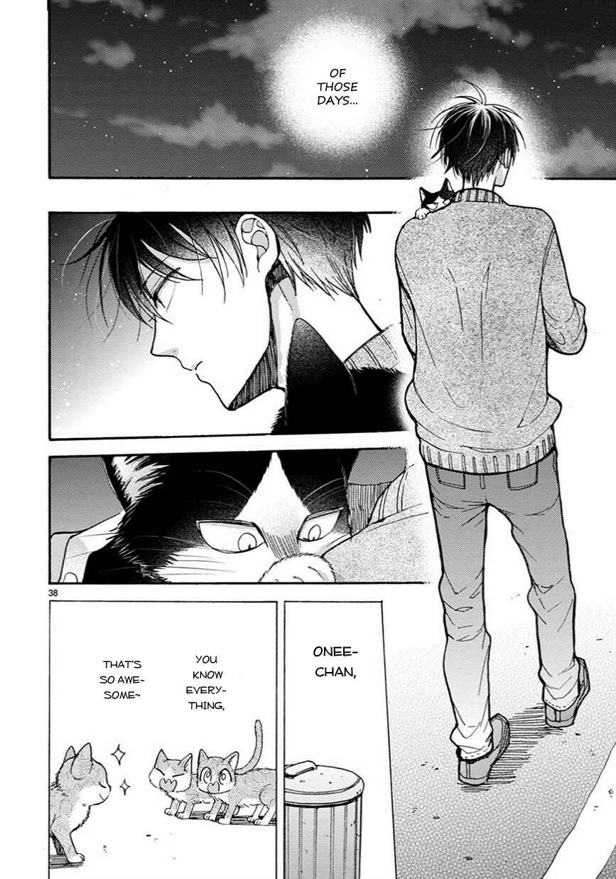 Page 15 Chapter 10.5 My Roommate Is a Cat