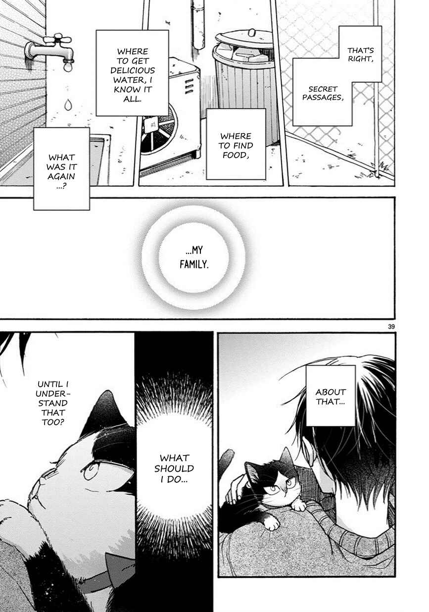 Page 16 Chapter 10.5 My Roommate Is a Cat