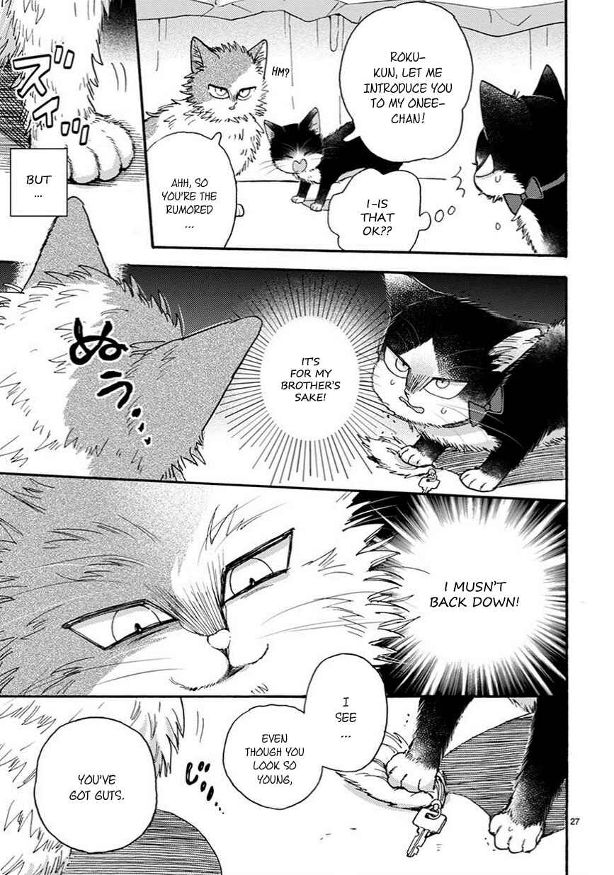 Page 4 Chapter 10.5 My Roommate Is a Cat