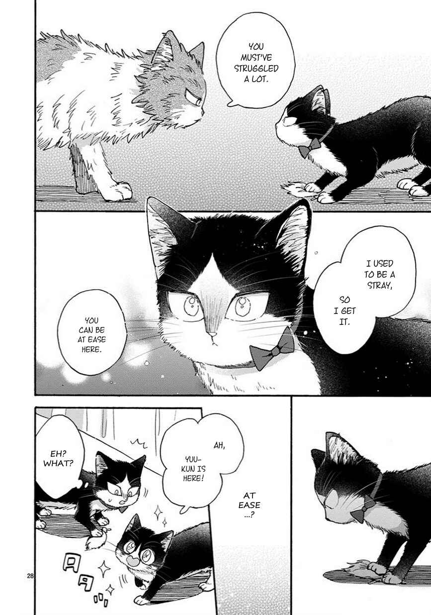 Page 5 Chapter 10.5 My Roommate Is a Cat