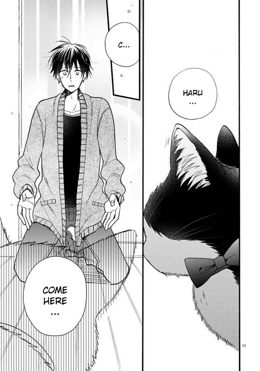 Page 12 Chapter 9 My Roommate Is a Cat