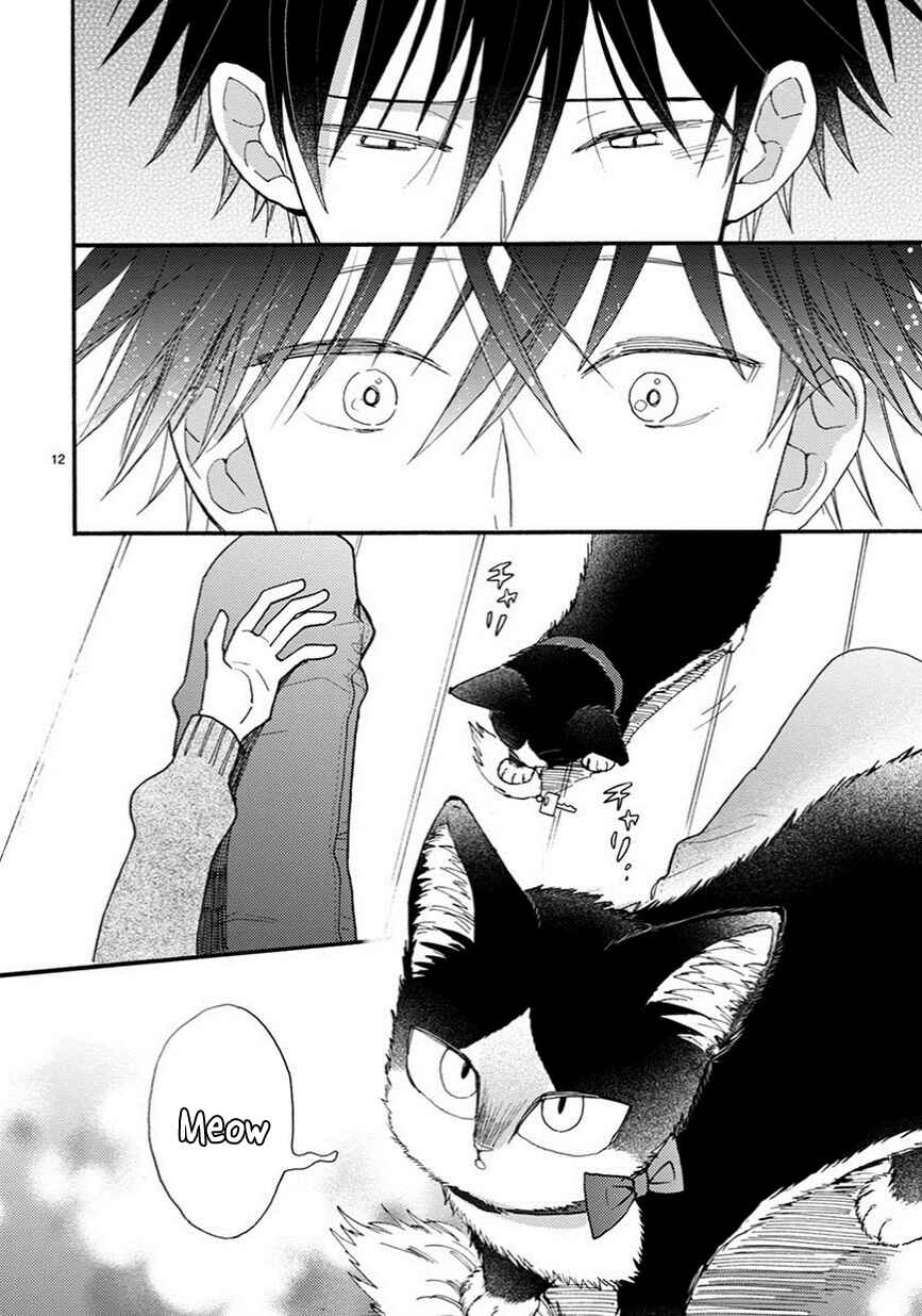 Page 13 Chapter 9 My Roommate Is a Cat