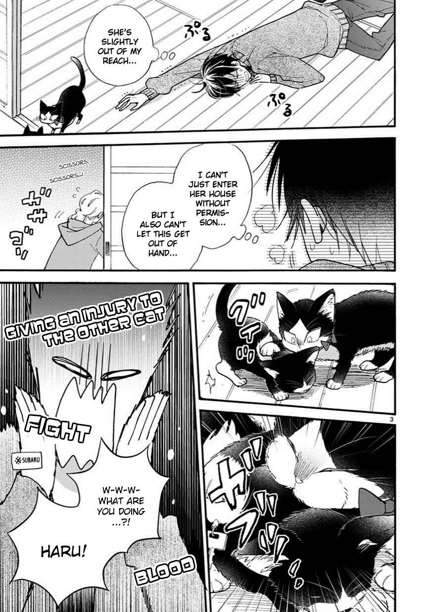 Page 4 Chapter 9 My Roommate Is a Cat
