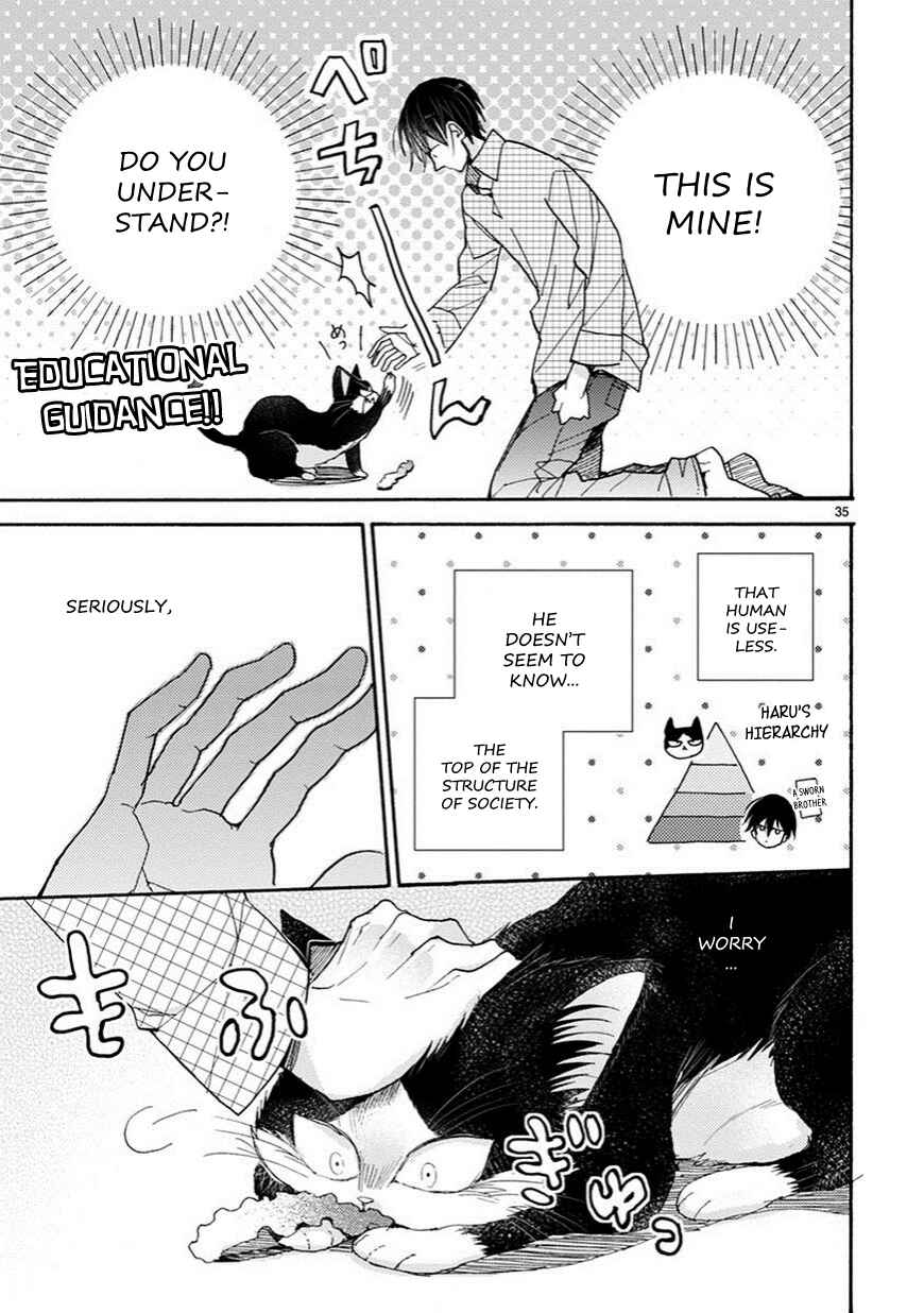Page 10 Chapter 3.5 My Roommate Is a Cat
