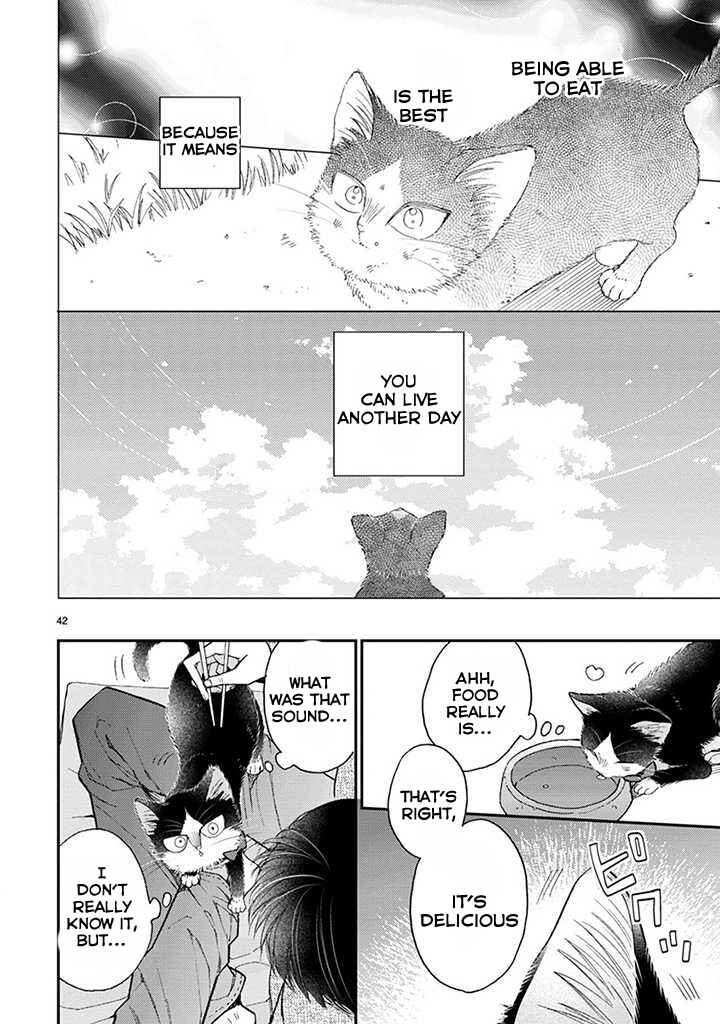 Page 15 Chapter 14.2 My Roommate Is a Cat