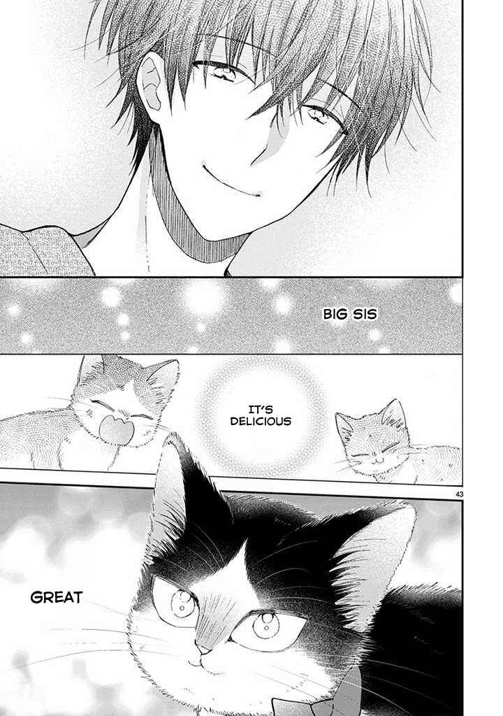 Page 16 Chapter 14.2 My Roommate Is a Cat