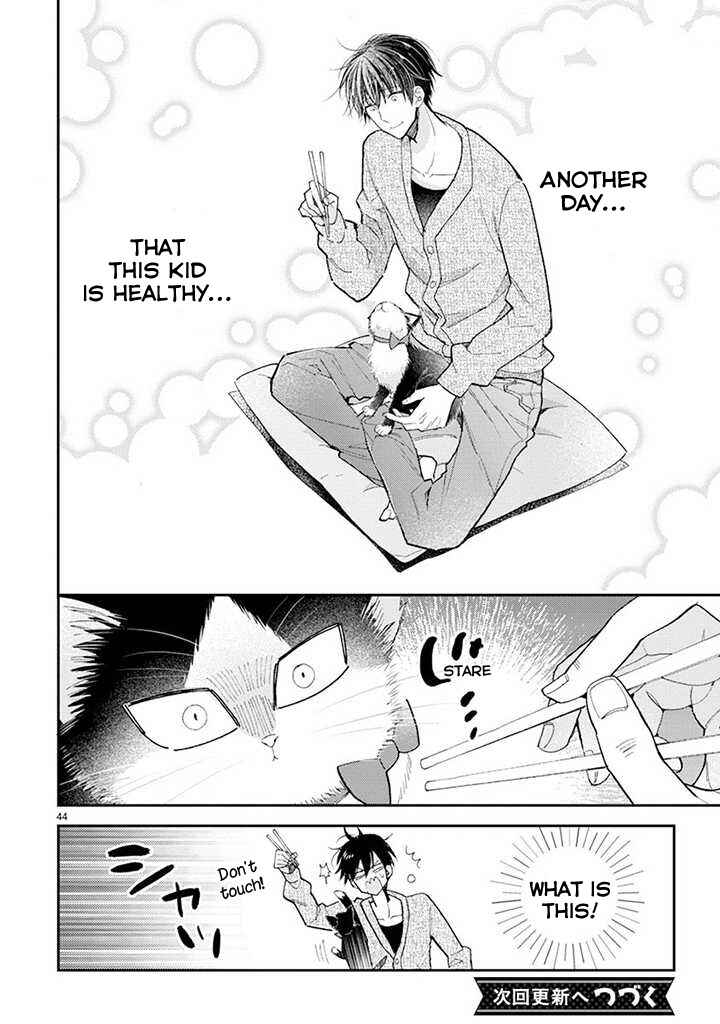 Page 17 Chapter 14.2 My Roommate Is a Cat