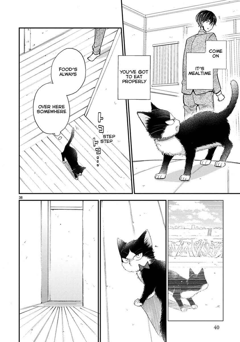 Page 13 Chapter 13.5 My Roommate Is a Cat