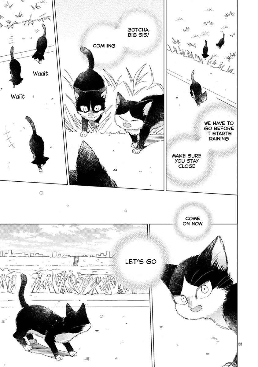 Page 8 Chapter 13.5 My Roommate Is a Cat