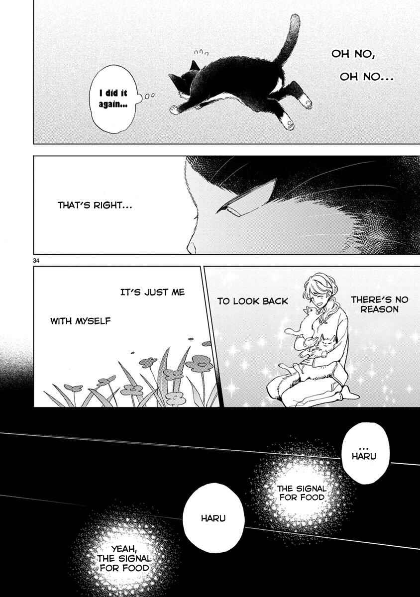 Page 9 Chapter 13.5 My Roommate Is a Cat