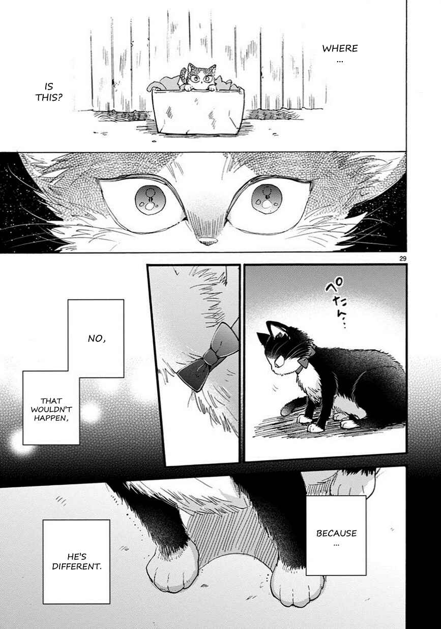 Page 14 Chapter 7.5 My Roommate Is a Cat
