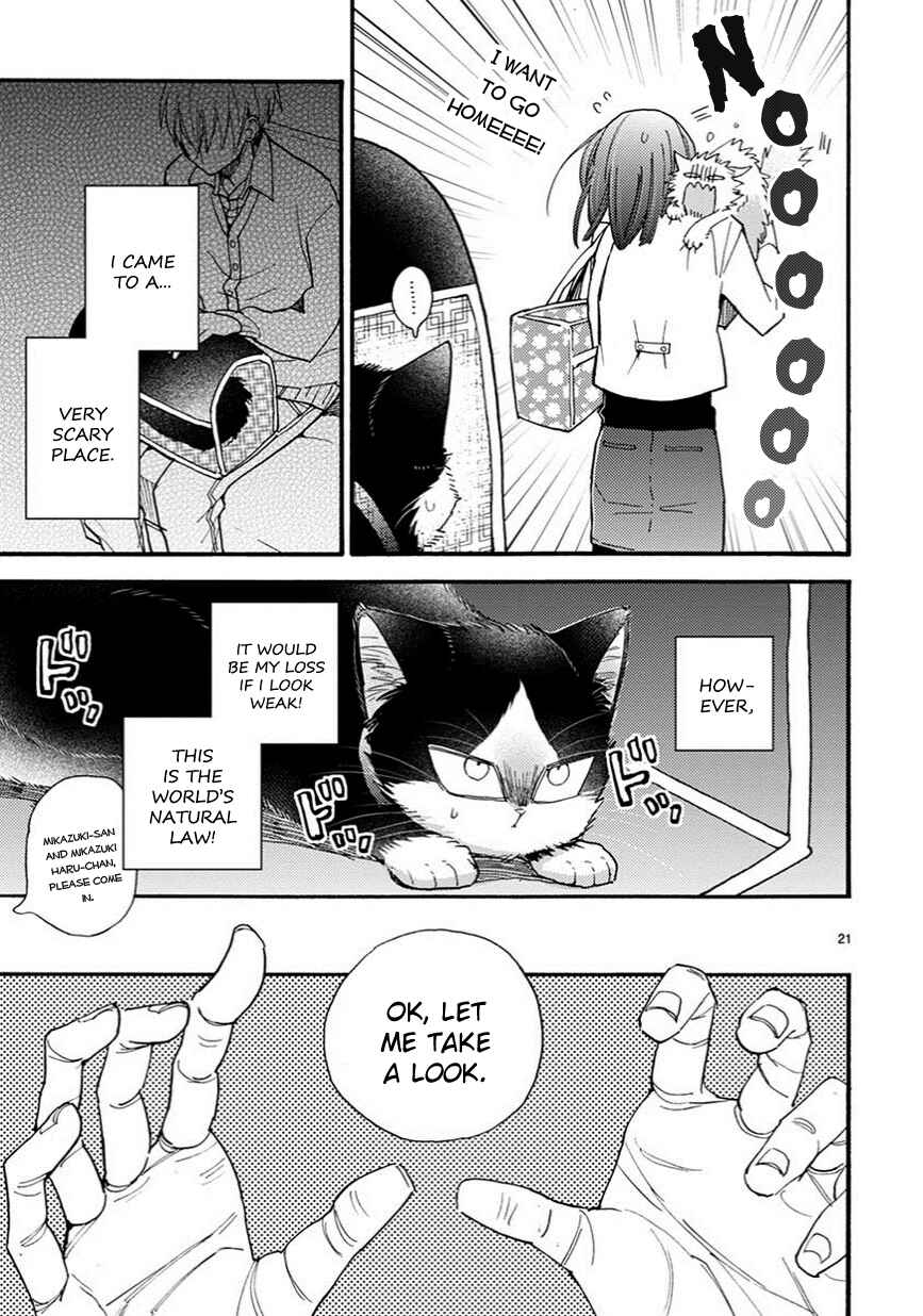 Page 6 Chapter 7.5 My Roommate Is a Cat