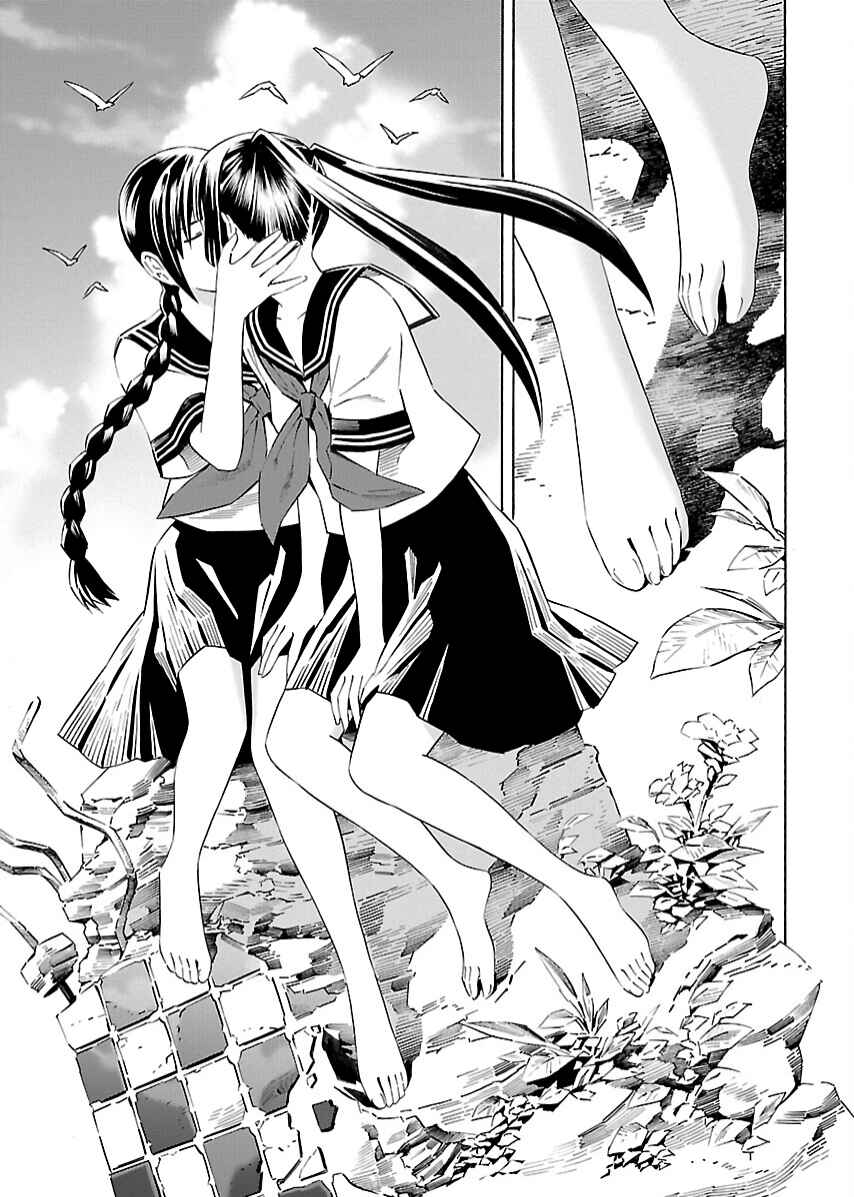 Page 13 Chapter 21 Lily System