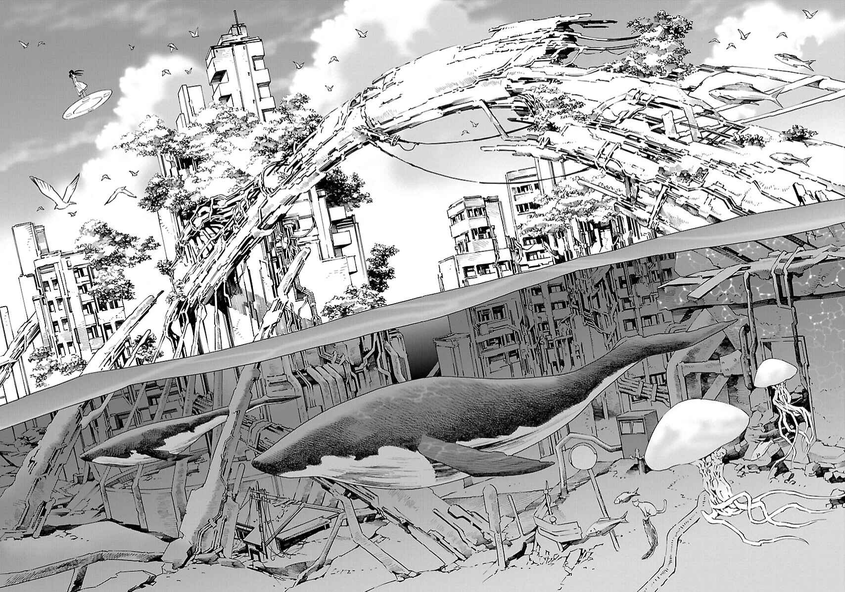 Page 22 Chapter 21 Lily System