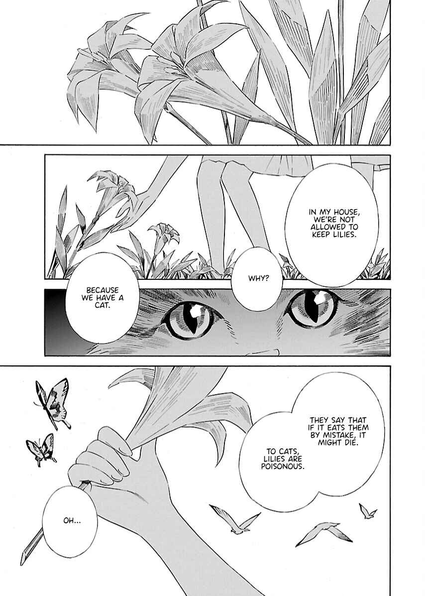 Page 24 Chapter 21 Lily System