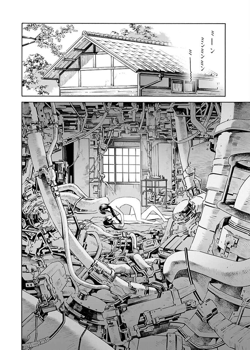 Page 6 Chapter 21 Lily System