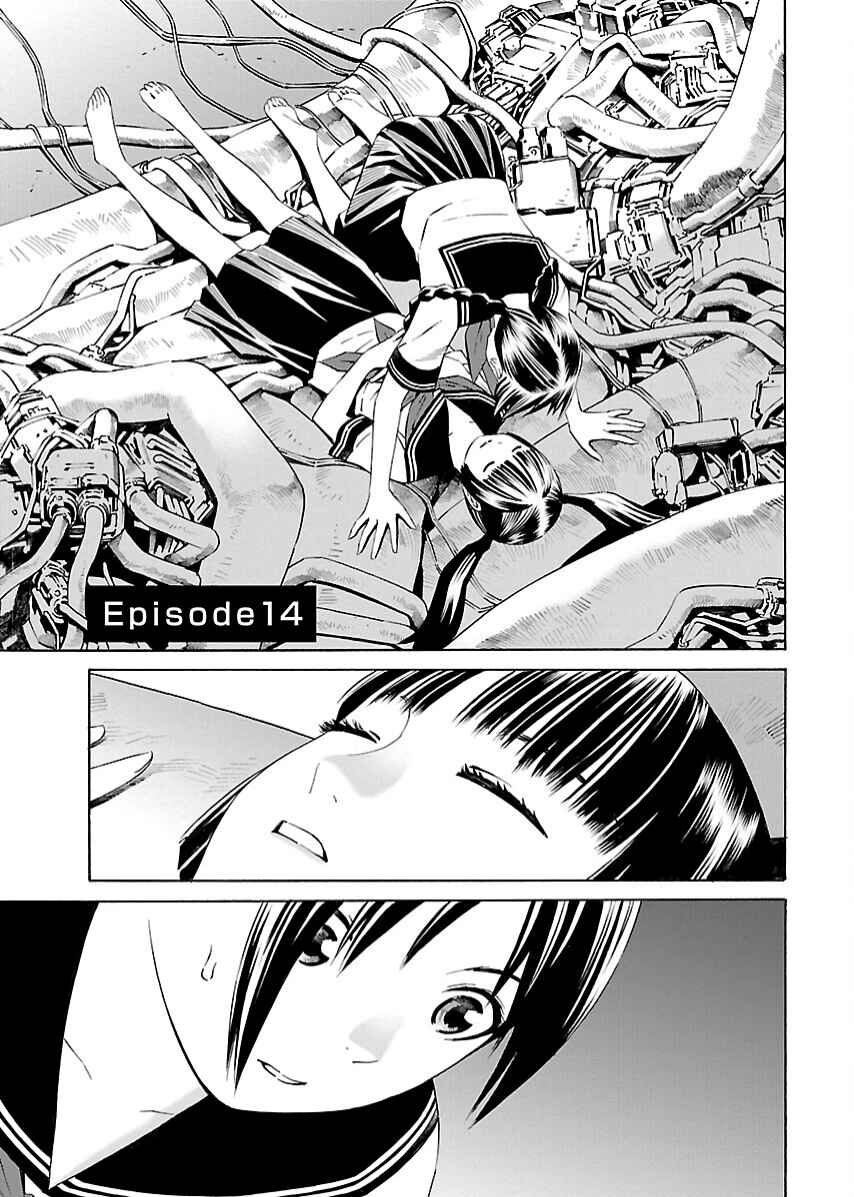 Page 3 Chapter 14 Lily System