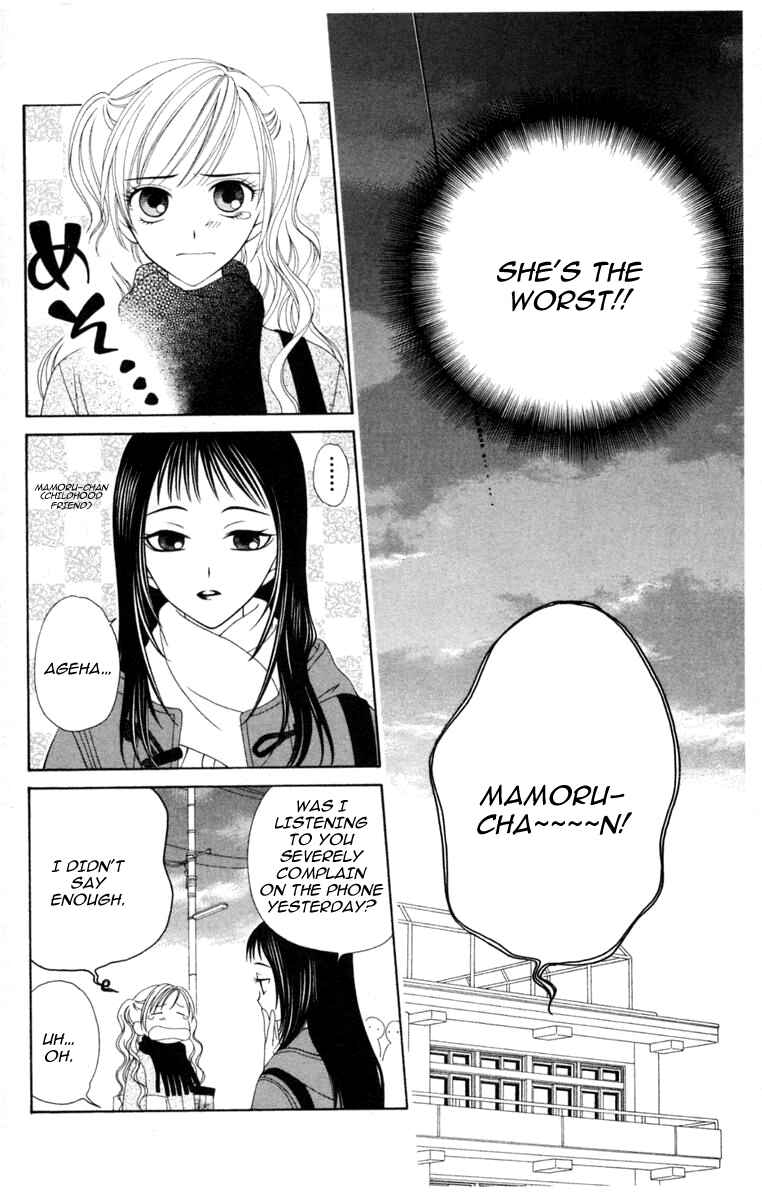 Page 19 Chapter 1 V.B. Rose