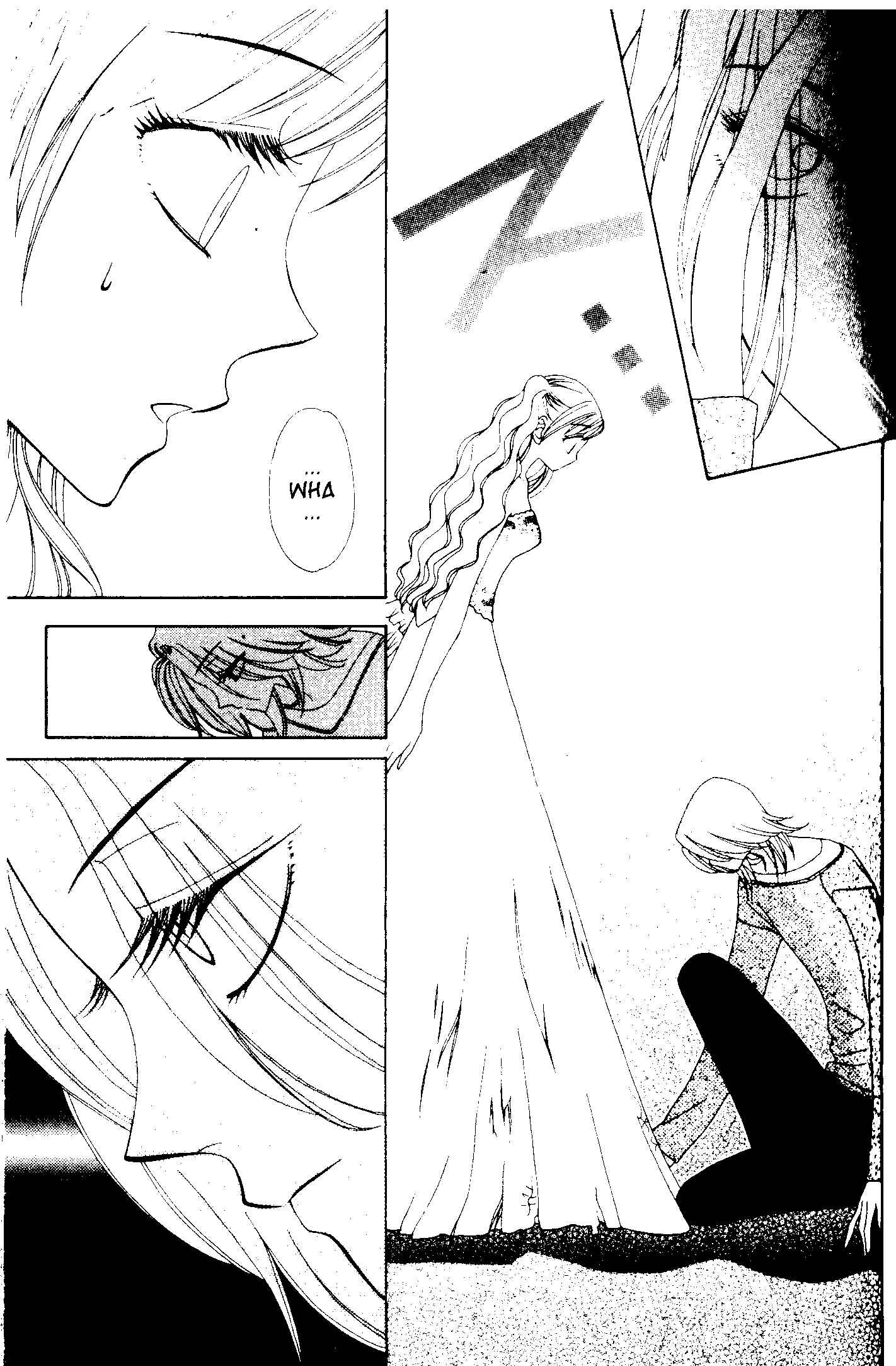 Page 13 Chapter 49 V.B. Rose