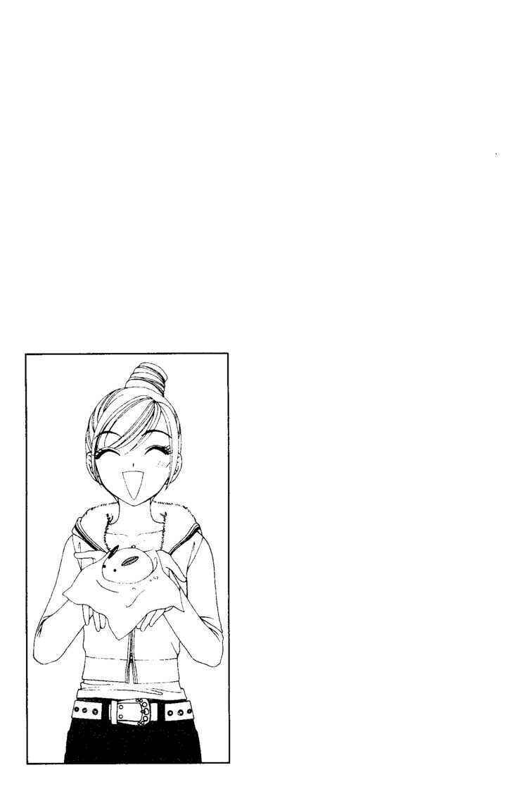 Page 41 Chapter 41 V.B. Rose
