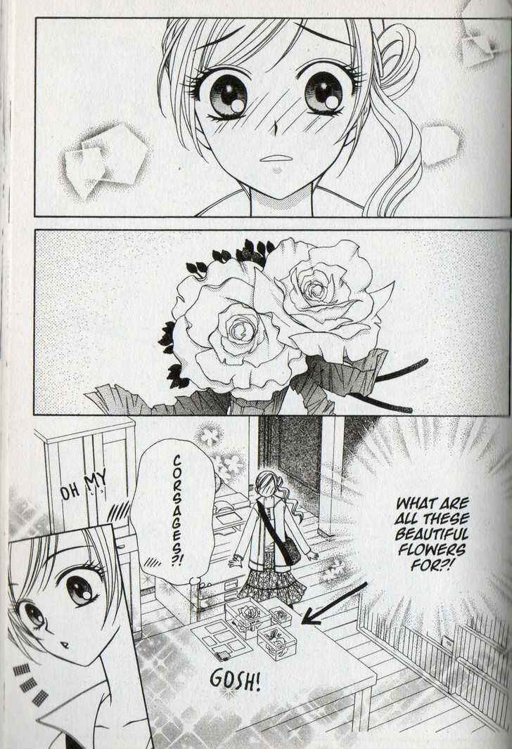 Page 3 Chapter 33 V.B. Rose