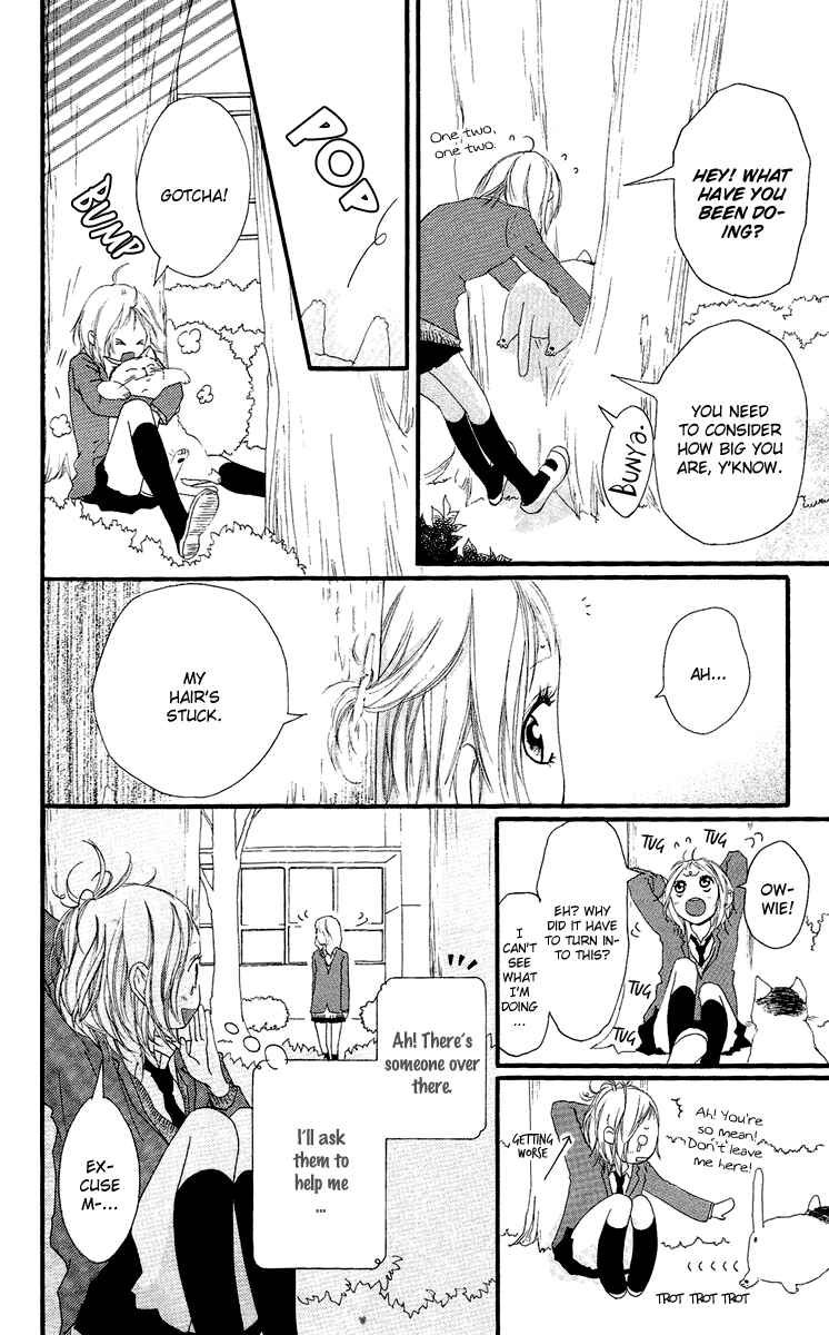 Page 21 Chapter 20 Strobe Edge