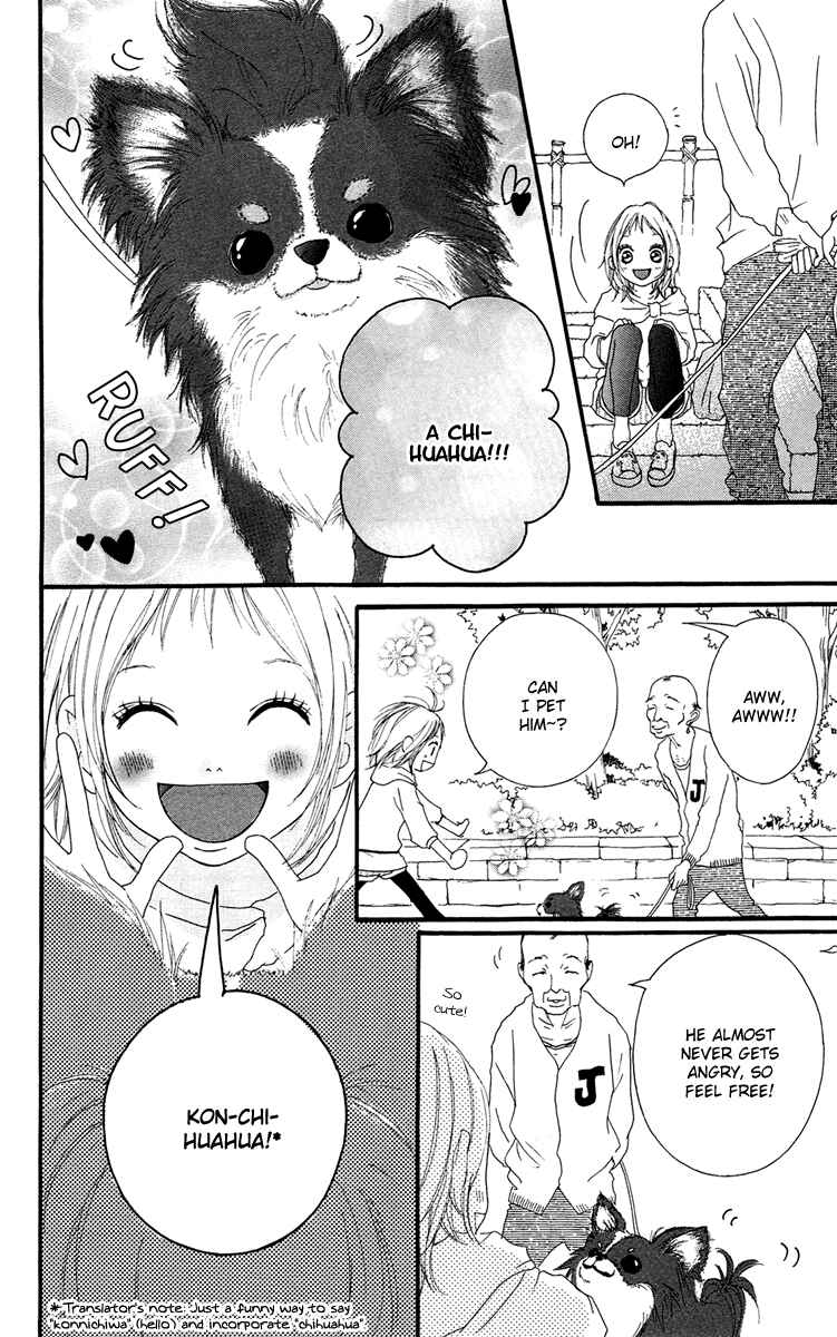 Page 28 Chapter 23 Strobe Edge