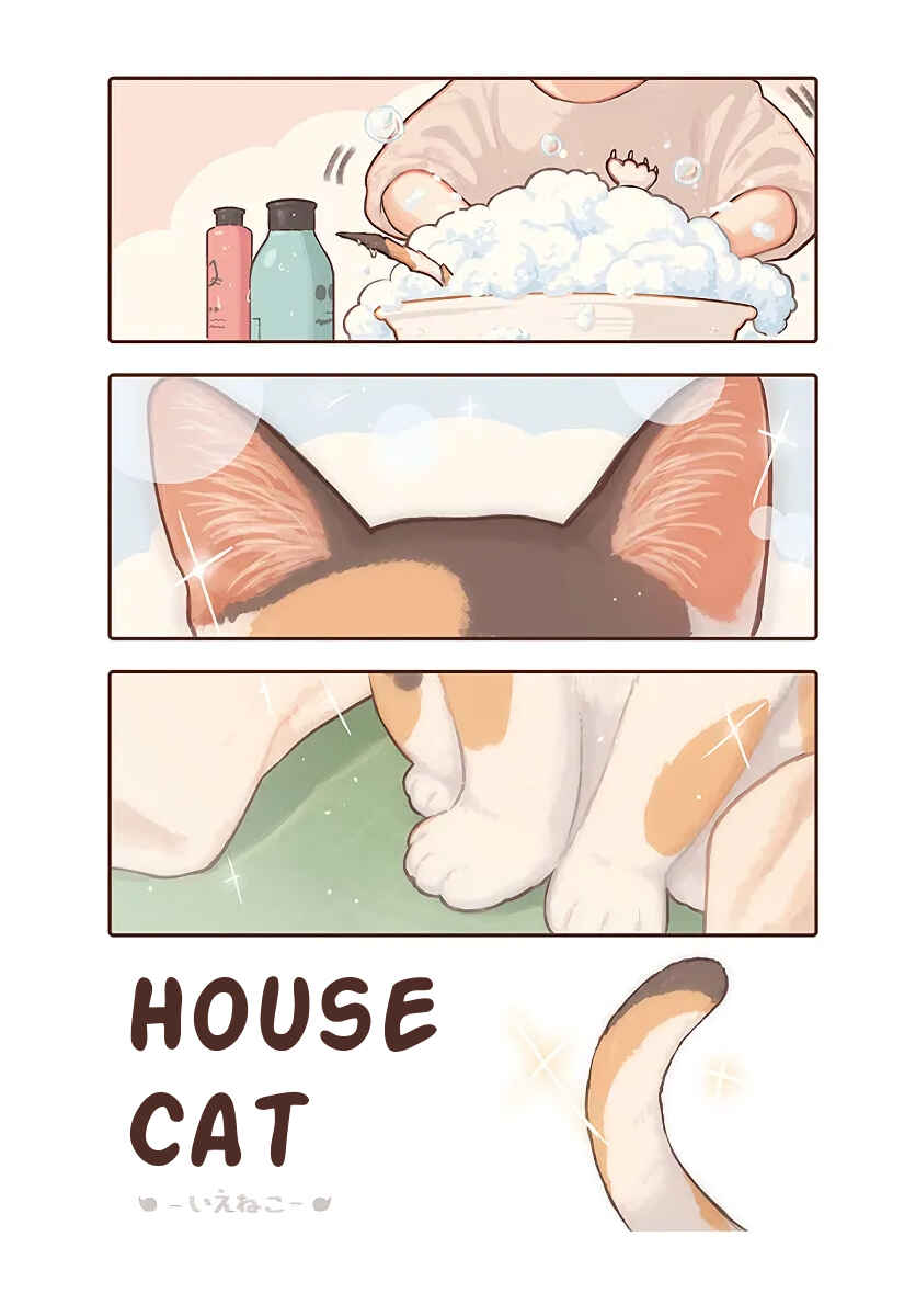 Page 1 Chapter 17 Todays Little Girl