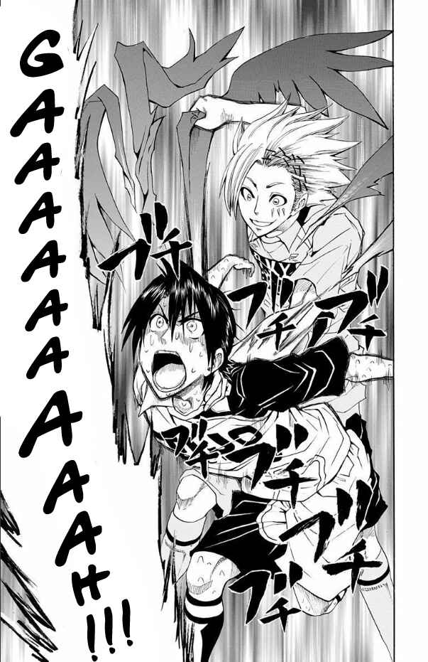 Page 17 Chapter 20 Light Wing