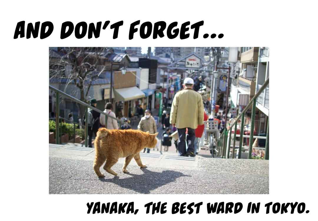 Page 12 Chapter 4 Yanyaka Sanpo