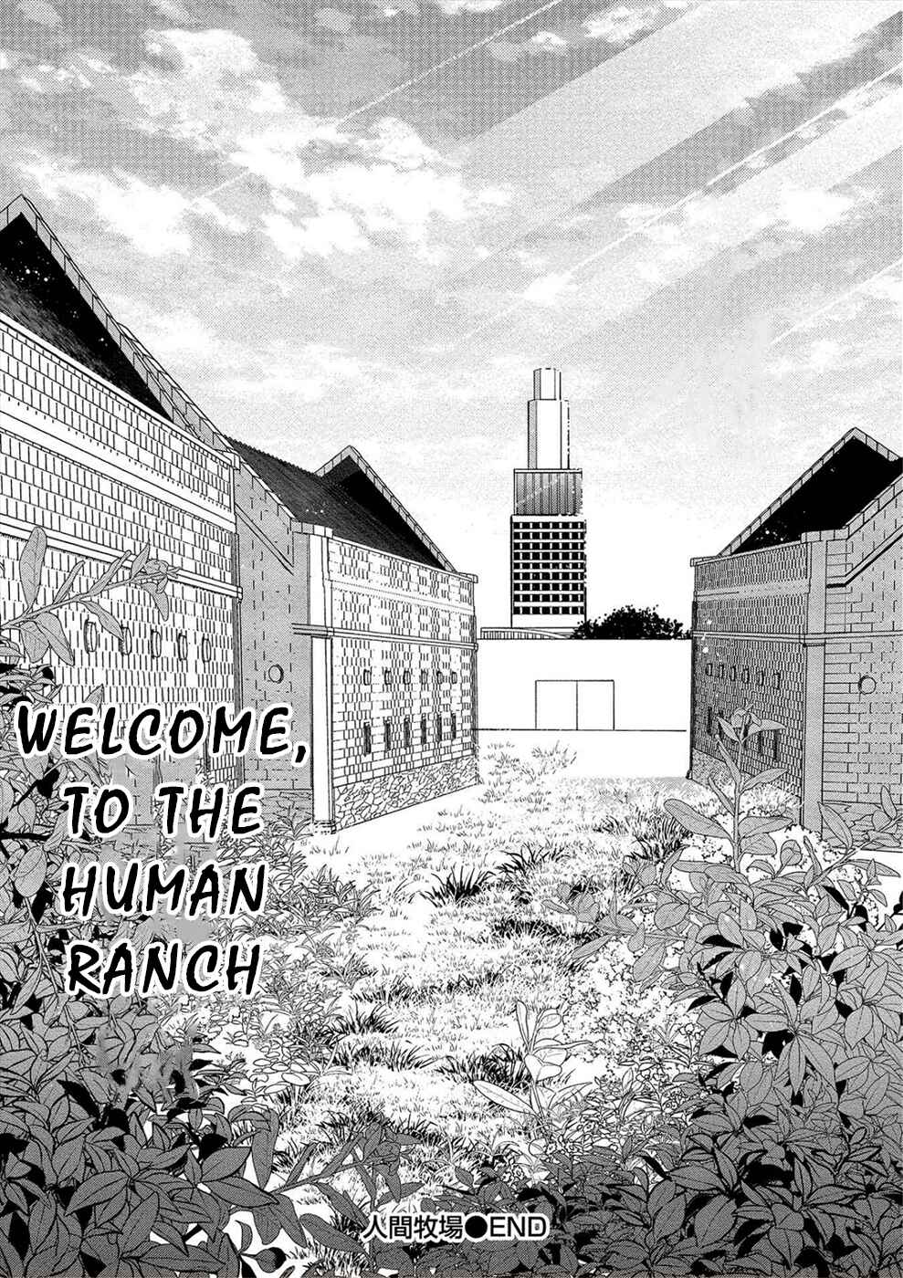 Page 25 Chapter 27 Human Ranch