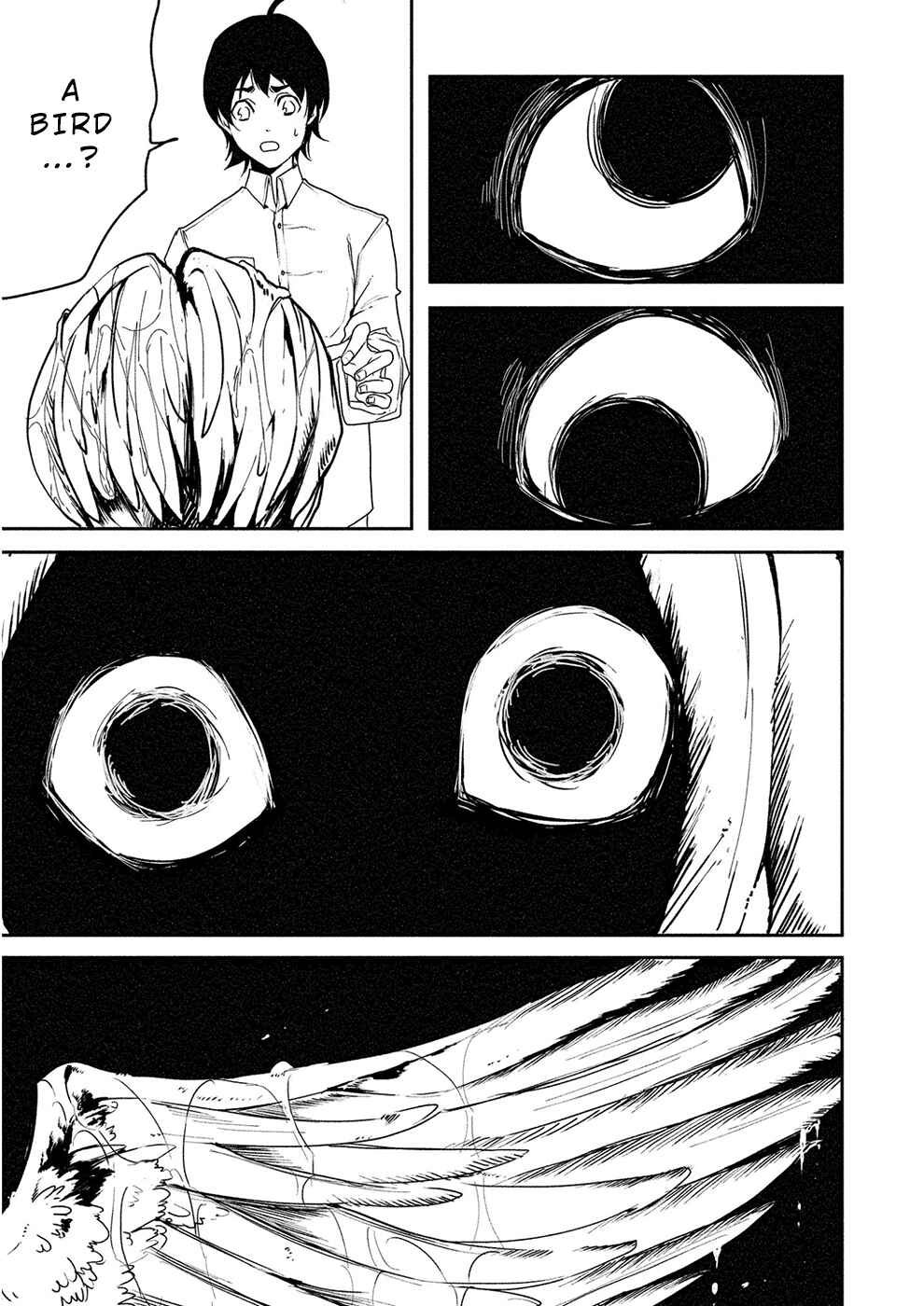 Page 19 Chapter 8 Human Ranch