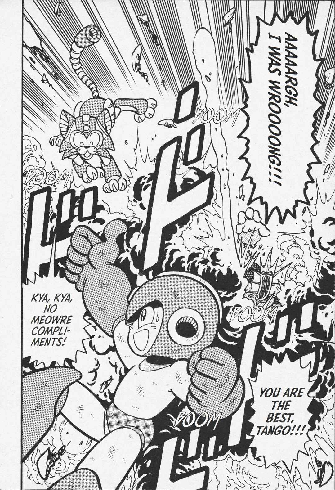 Page 31 Chapter Unknown_ed09 Megaman V