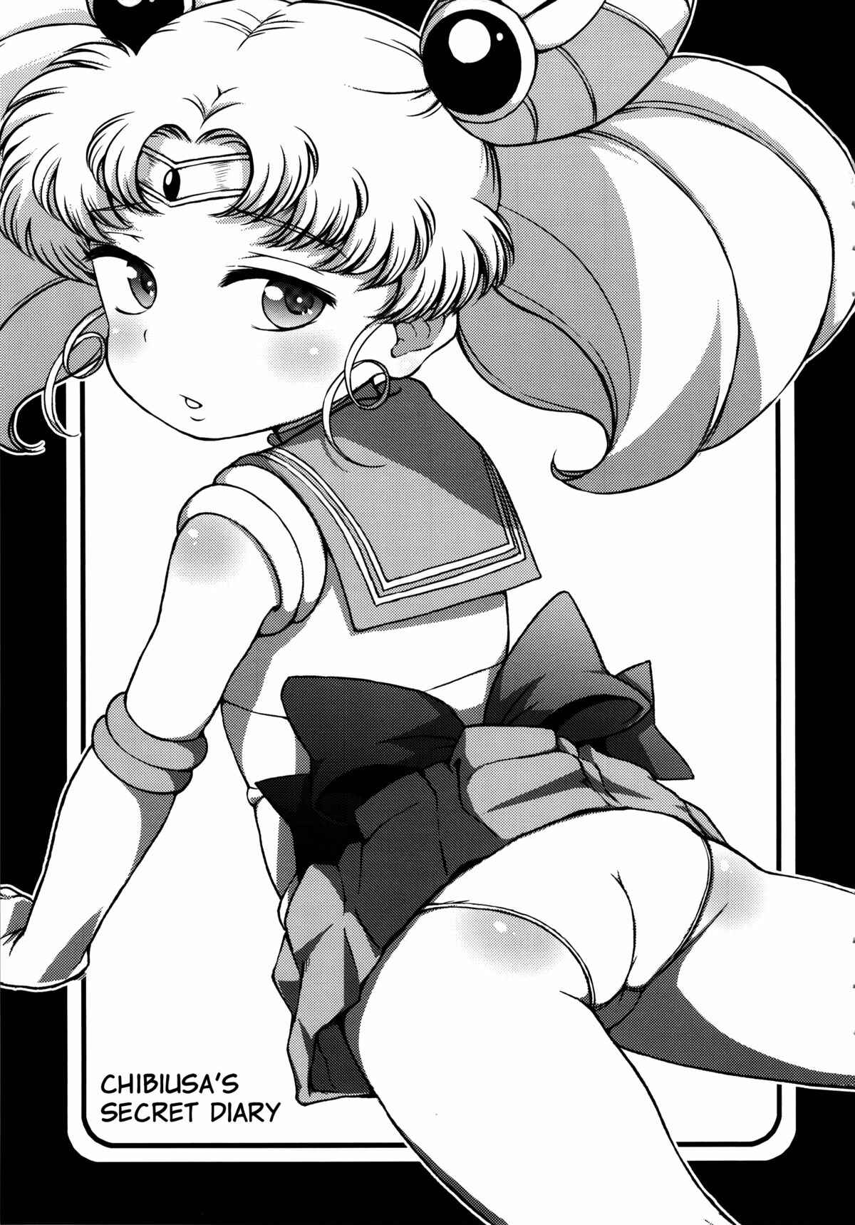 Page 3 Chapter Unknown_438a Bishoujo Senshi Sailor Moon - Chibiusa no Himitsu Diary (Doujinshi)