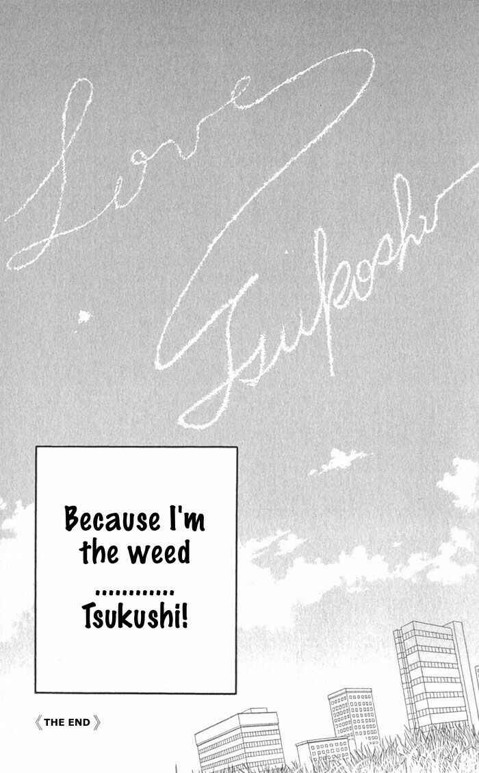 Page 34 Chapter 241 Boys Over Flowers