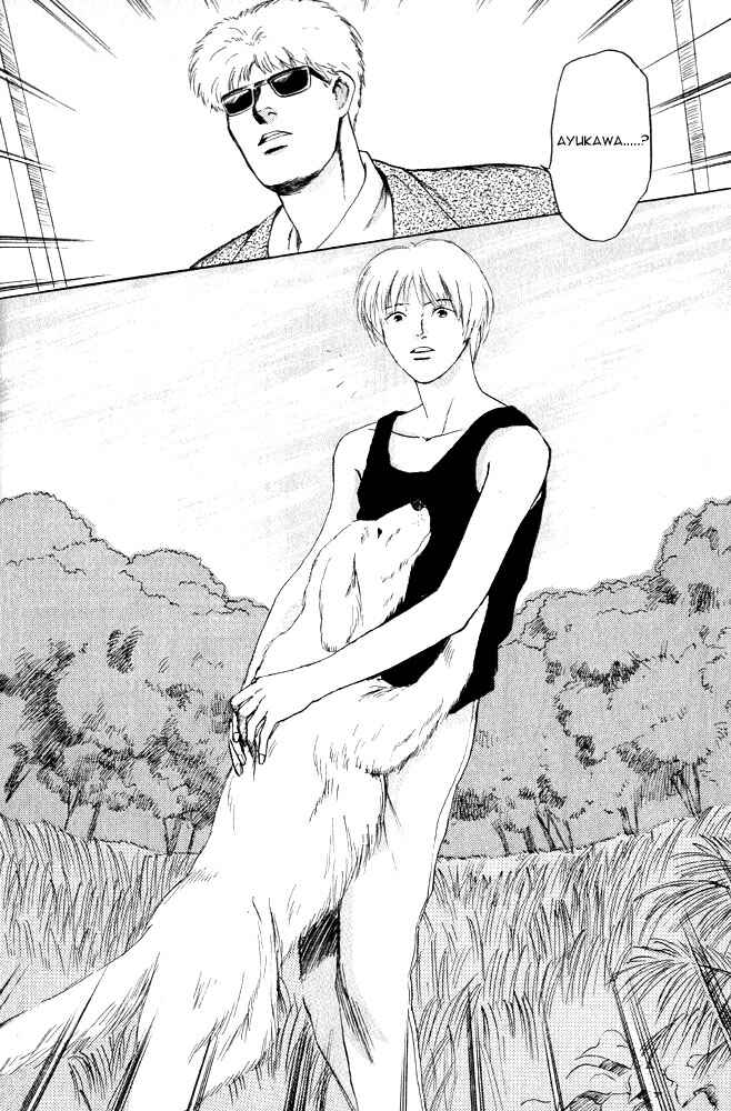 Page 55 Chapter 12 Animal X
