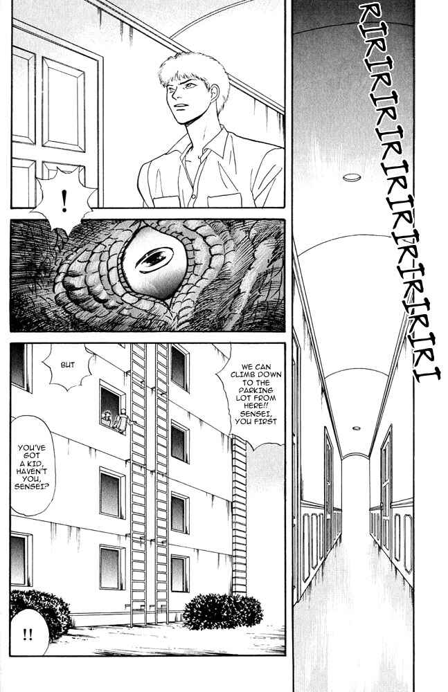 Page 37 Chapter 4 Animal X