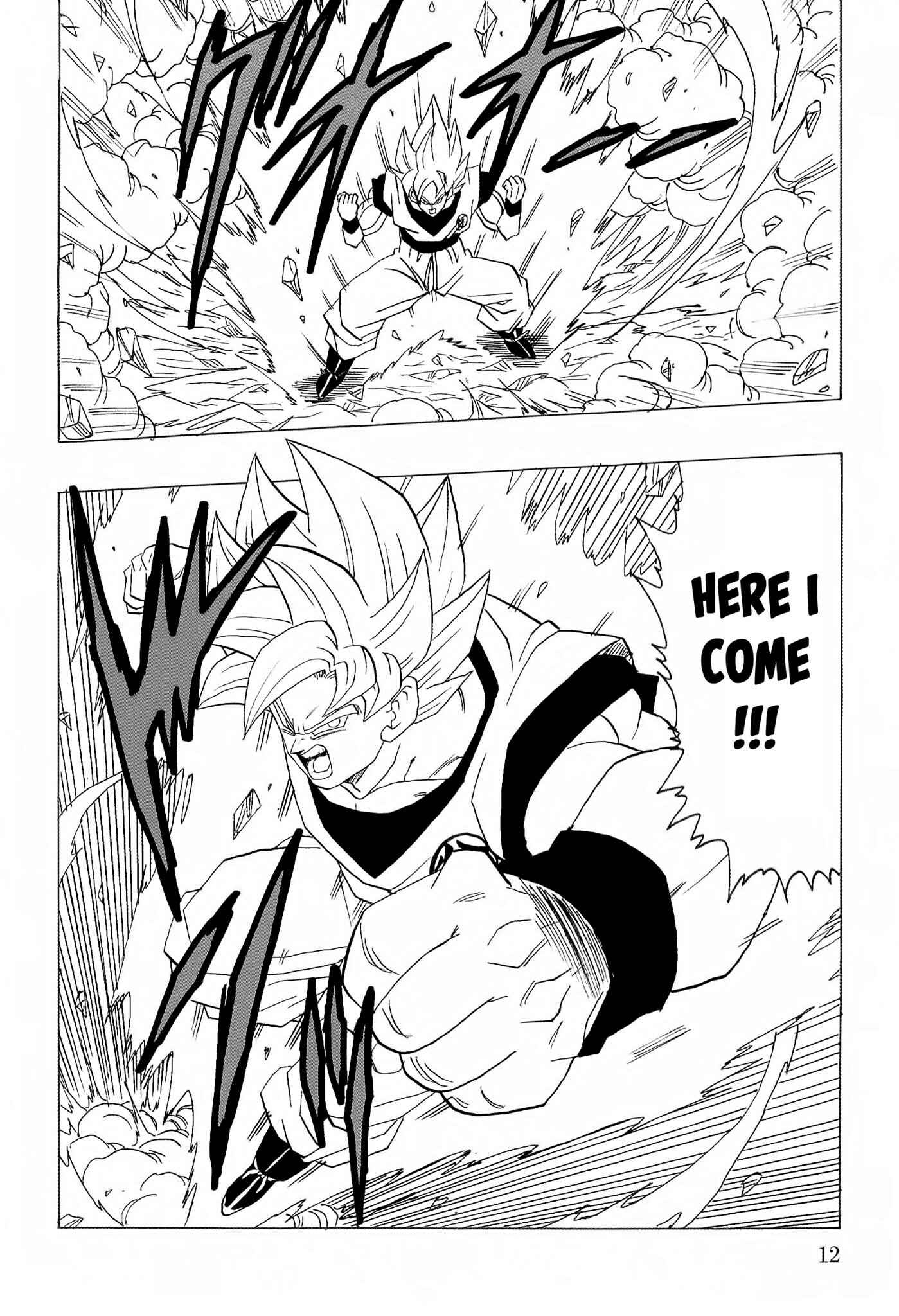 Page 13 Chapter Unknown_8d1c Dragon Ball - DBVS
