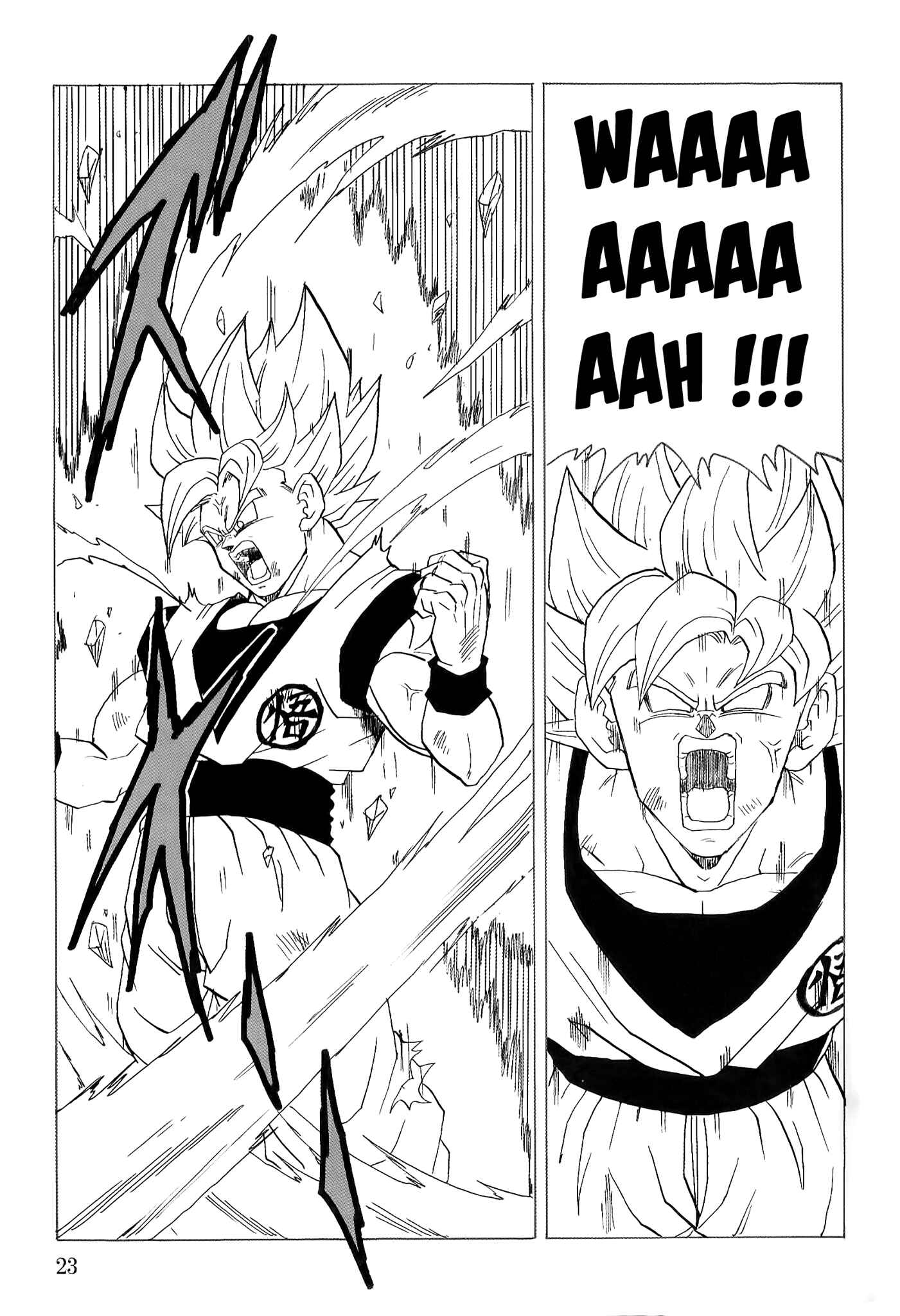Page 24 Chapter Unknown_8d1c Dragon Ball - DBVS