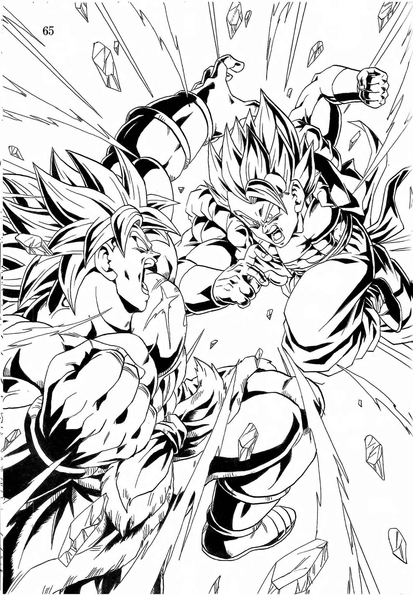 Page 66 Chapter Unknown_8d1c Dragon Ball - DBVS