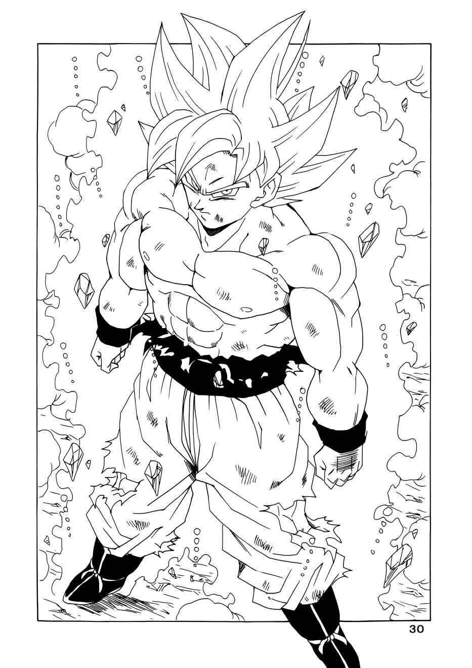 Page 30 Chapter Unknown_1320 Dragon Ball - DBVS