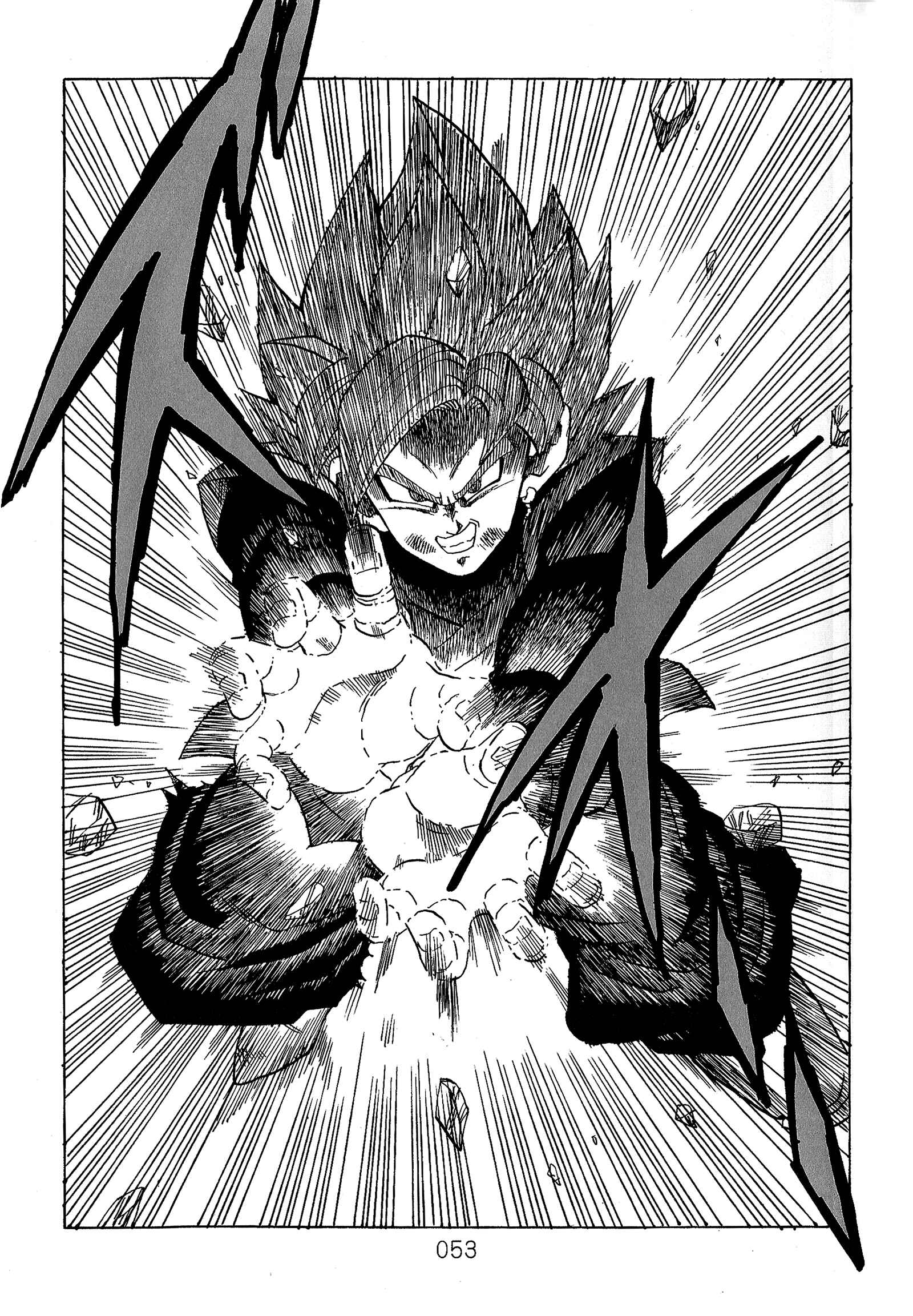 Page 55 Chapter Unknown_589c Dragon Ball - DBVS