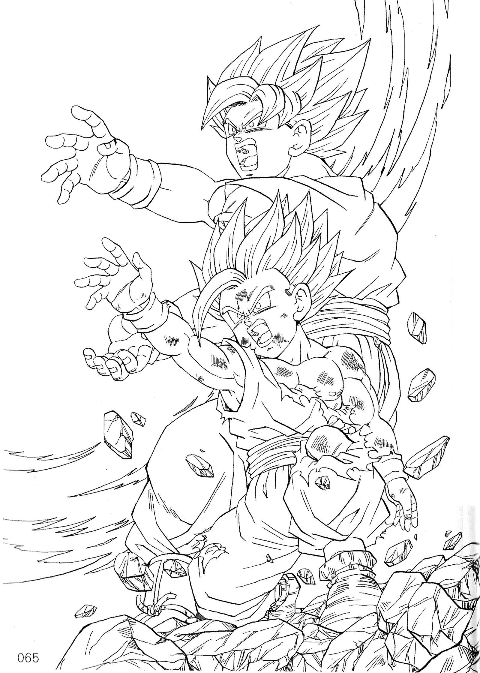 Page 67 Chapter Unknown_589c Dragon Ball - DBVS