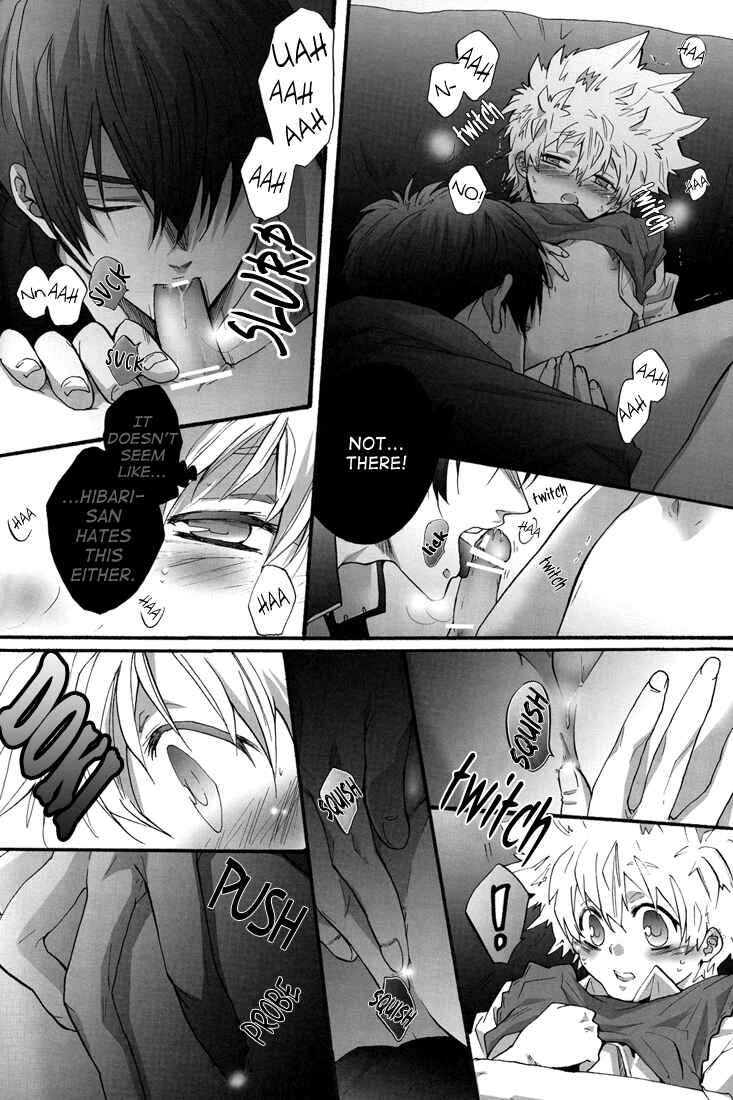 Page 30 Chapter Unknown_3ff8 Katekyo Hitman Reborn! - Pure (Doujinshi)