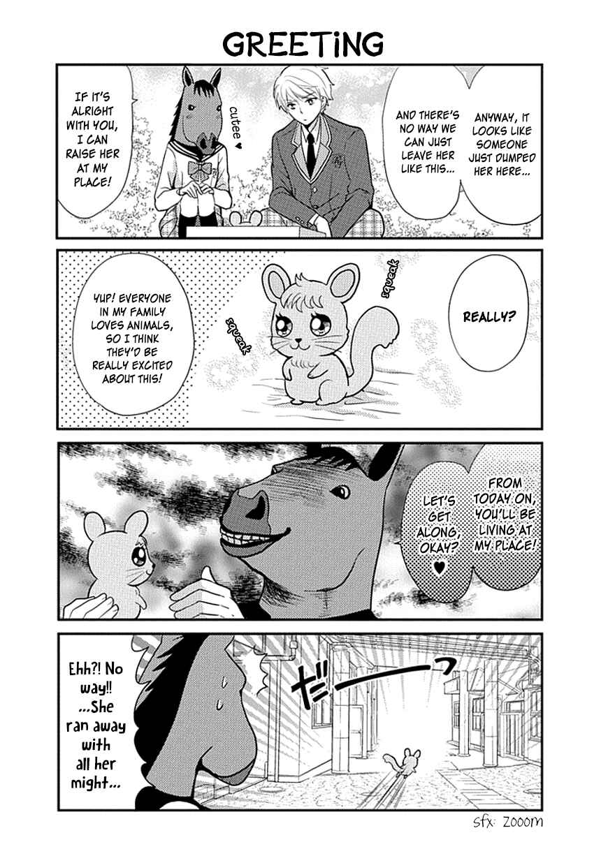 Page 6 Chapter 13 AFO Guard