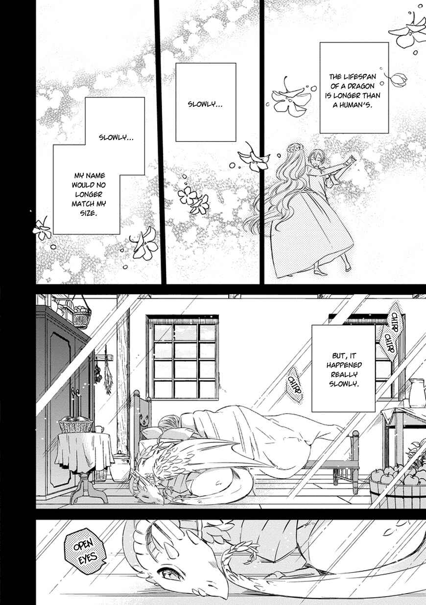 Page 12 Chapter 38 Majo no Shinzou