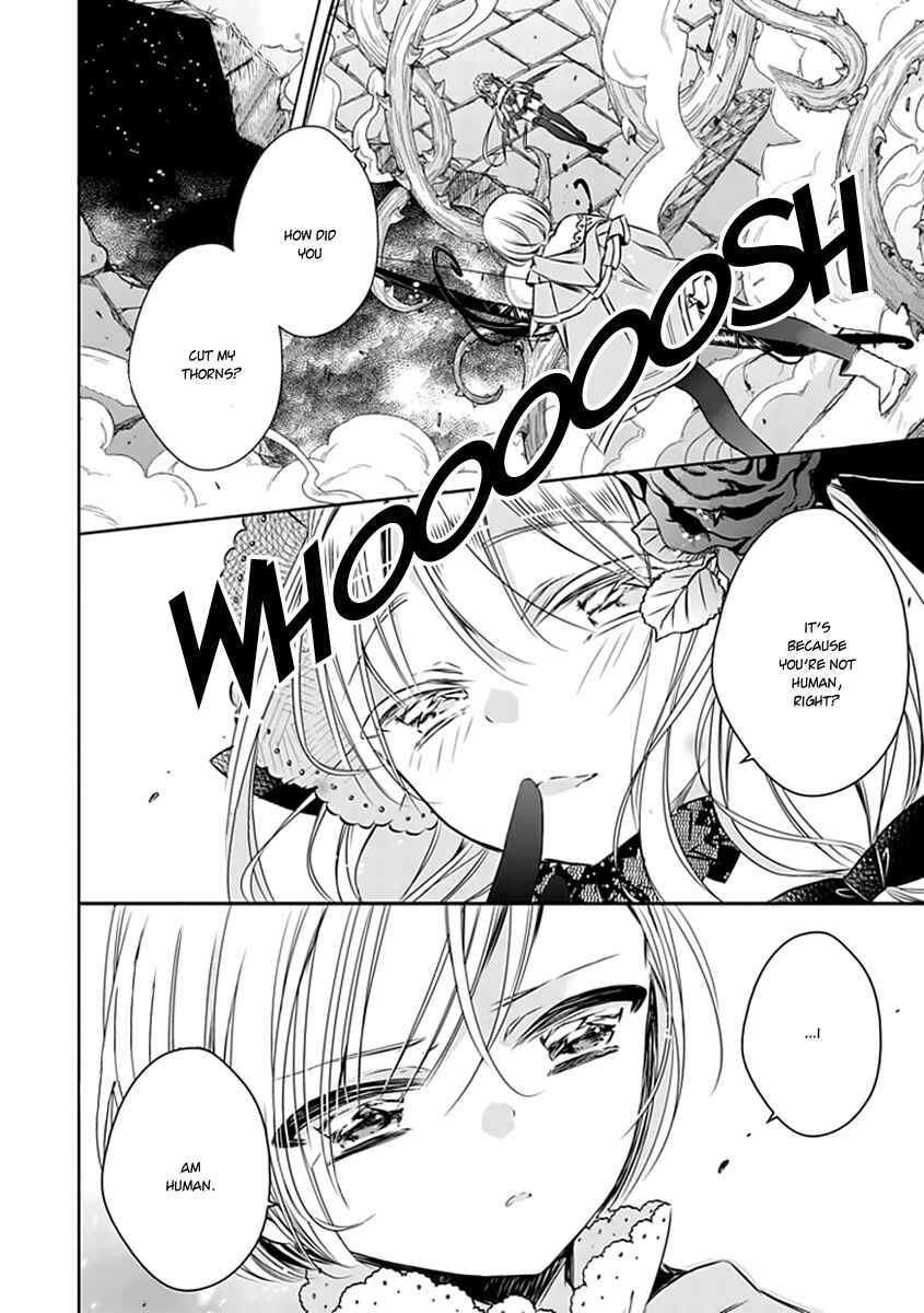 Page 21 Chapter 20 Majo no Shinzou